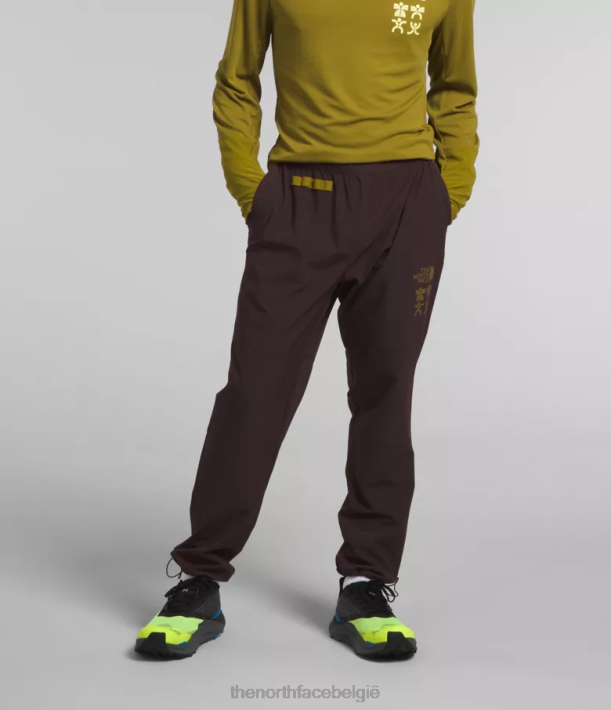 kleding 280T216 steenkool bruin trailwear okt-joggingbroek Heren The North Face