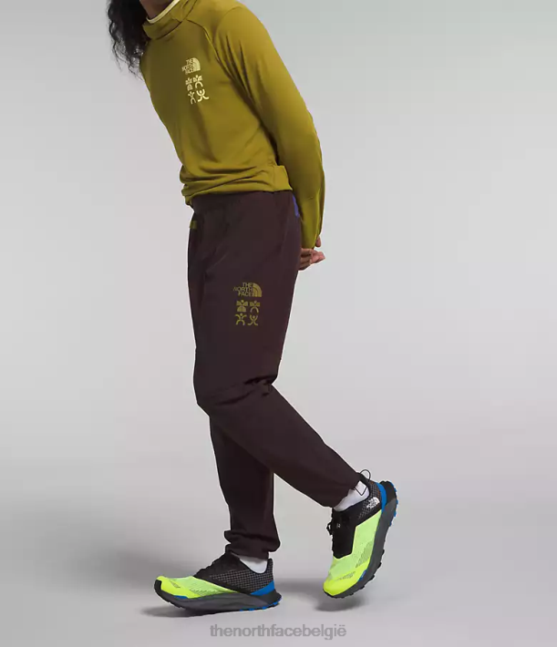 kleding 280T216 steenkool bruin trailwear okt-joggingbroek Heren The North Face