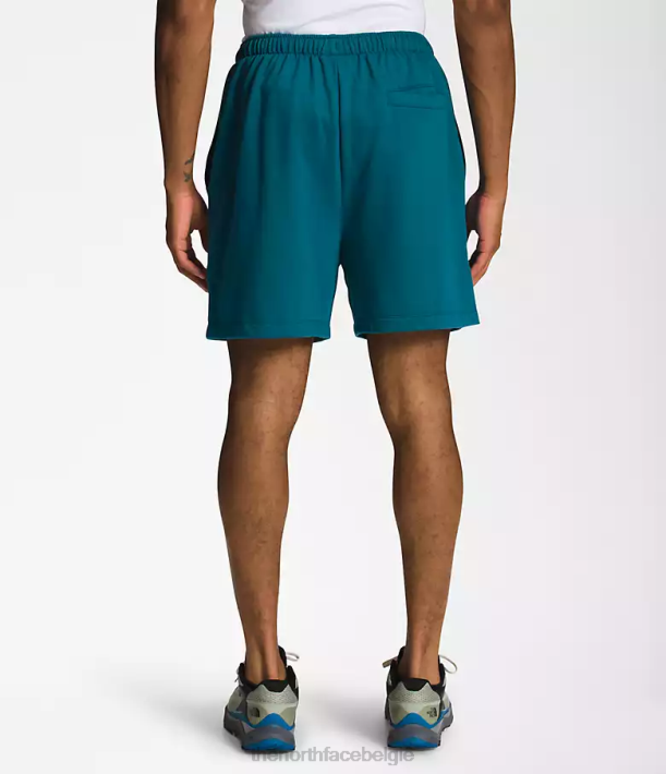 kleding 280T362 blauw koraal eenvoudige fleeceshort met logo Heren The North Face