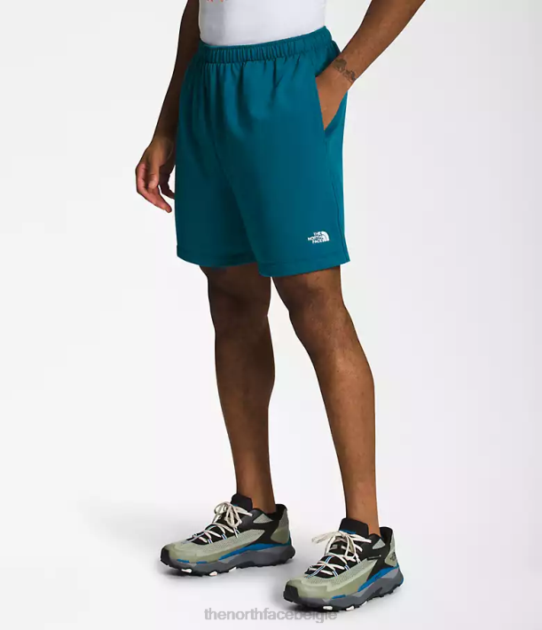 kleding 280T362 blauw koraal eenvoudige fleeceshort met logo Heren The North Face