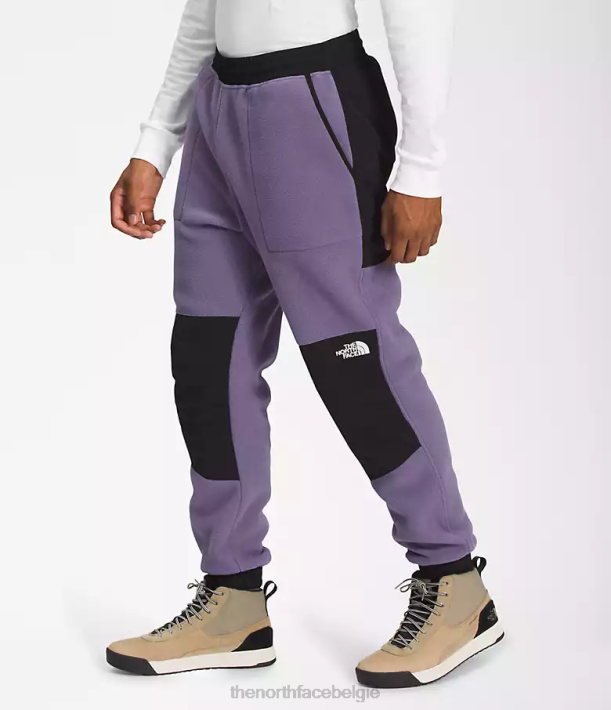 kleding 280T880 maanleisteen/tnf zwart denali broek Heren The North Face