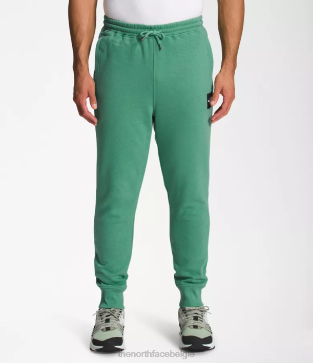 kleding 280T1041 diep grasgroen/tnf zwart box nse joggers Heren The North Face