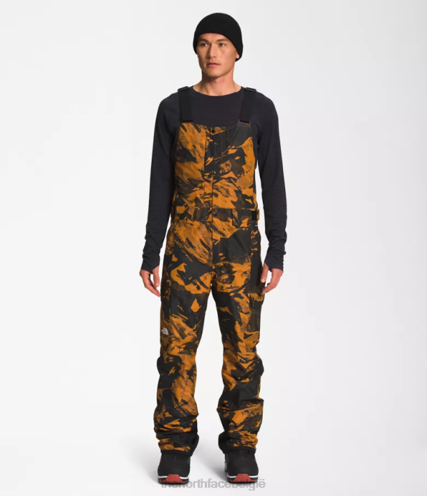 kleding 280T656 leerbruine tonale berglandschap print vrijheid slabbetjes Heren The North Face