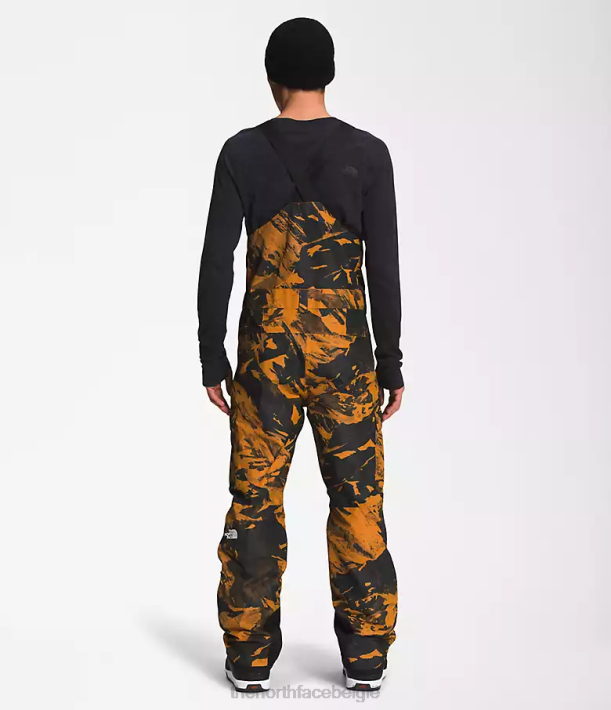 kleding 280T656 leerbruine tonale berglandschap print vrijheid slabbetjes Heren The North Face