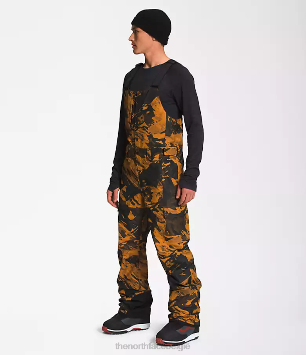 kleding 280T656 leerbruine tonale berglandschap print vrijheid slabbetjes Heren The North Face