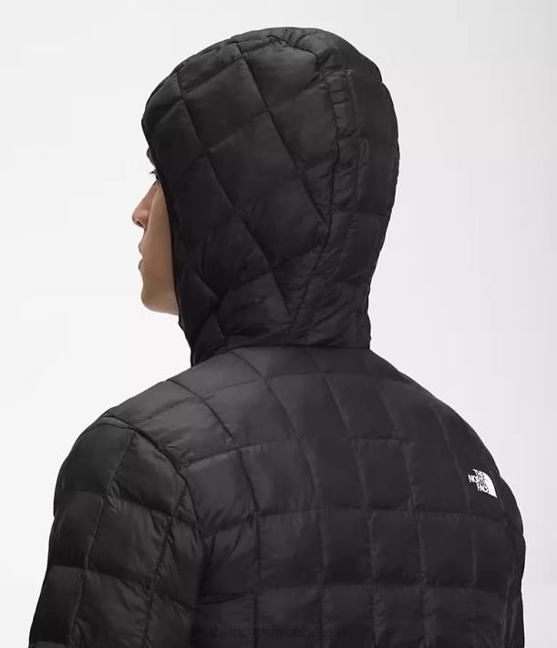 kleding 280T1030 tn zwart Thermoball Eco-hoodie 2.0 Heren The North Face