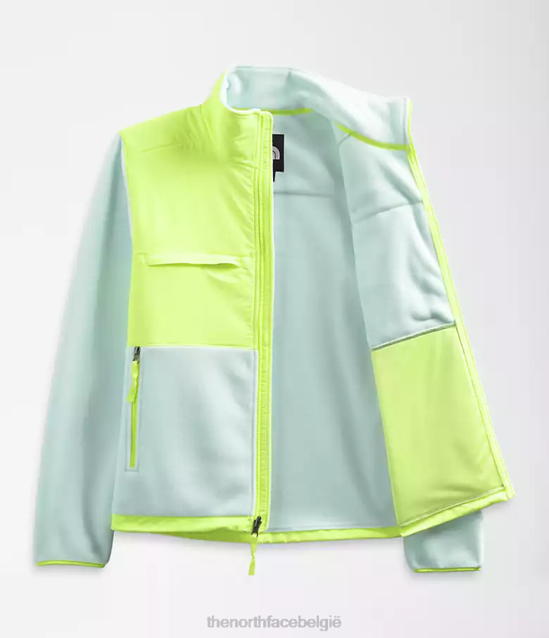 kleding 280T196 dakraam blauw/led geel denali jas Heren The North Face