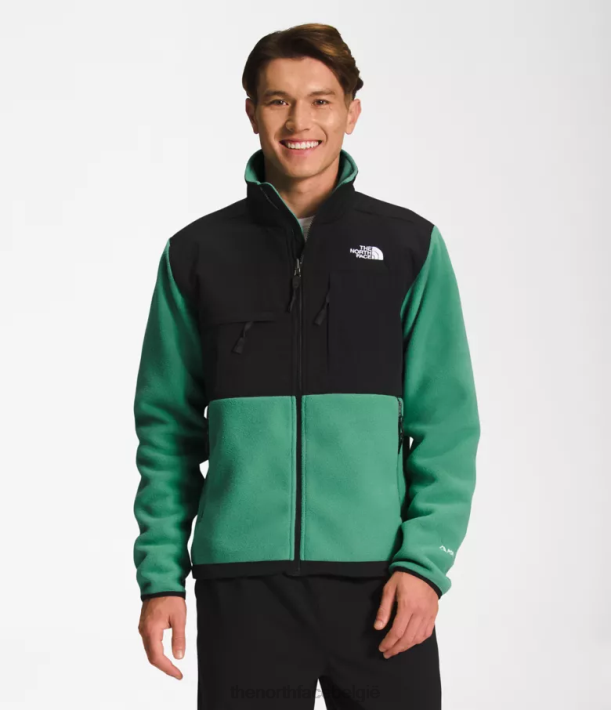 kleding 280T197 diep grasgroen denali jas Heren The North Face