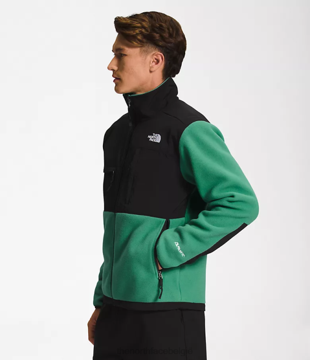 kleding 280T197 diep grasgroen denali jas Heren The North Face