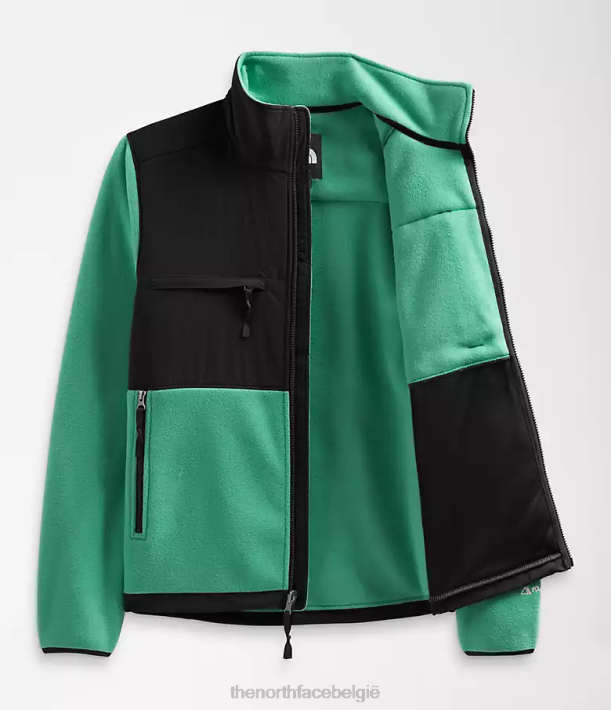 kleding 280T197 diep grasgroen denali jas Heren The North Face
