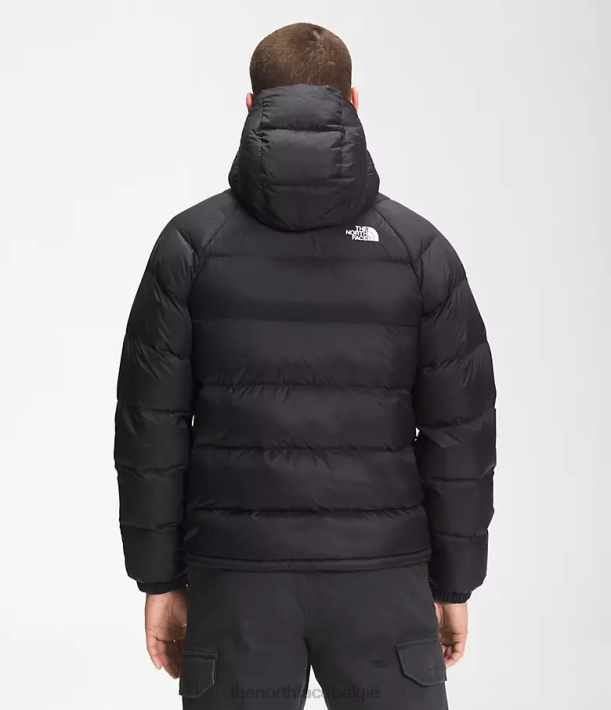 kleding 280T639 tn zwart hydrenaliet donshoodie Heren The North Face