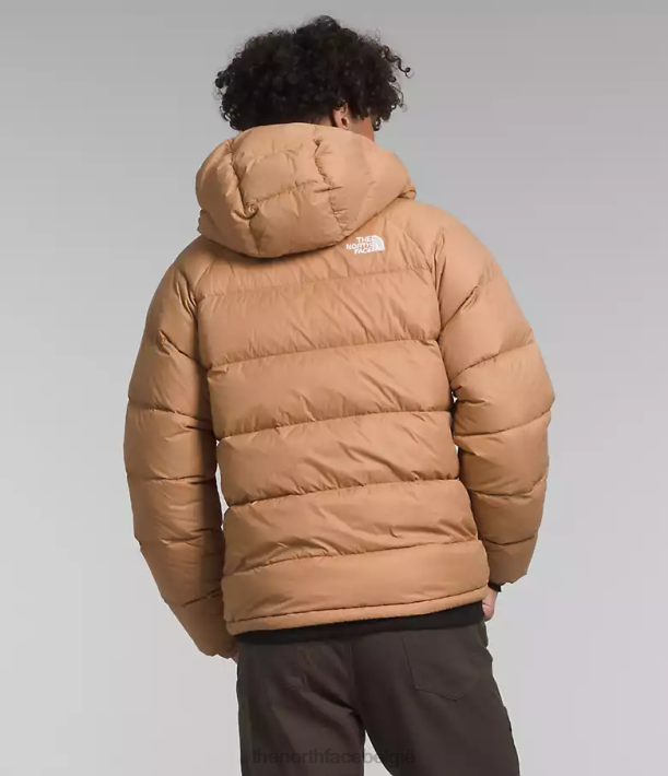 kleding 280T641 amandelboter hydrenaliet donshoodie Heren The North Face