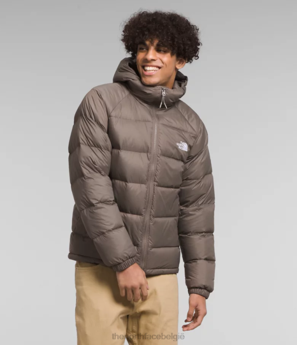 kleding 280T642 valk bruin hydrenaliet donshoodie Heren The North Face