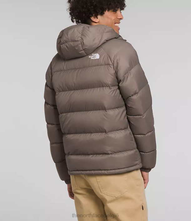 kleding 280T642 valk bruin hydrenaliet donshoodie Heren The North Face