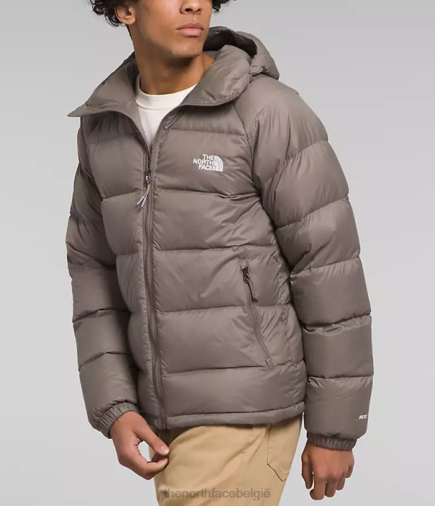 kleding 280T642 valk bruin hydrenaliet donshoodie Heren The North Face