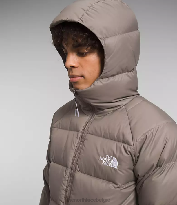kleding 280T642 valk bruin hydrenaliet donshoodie Heren The North Face