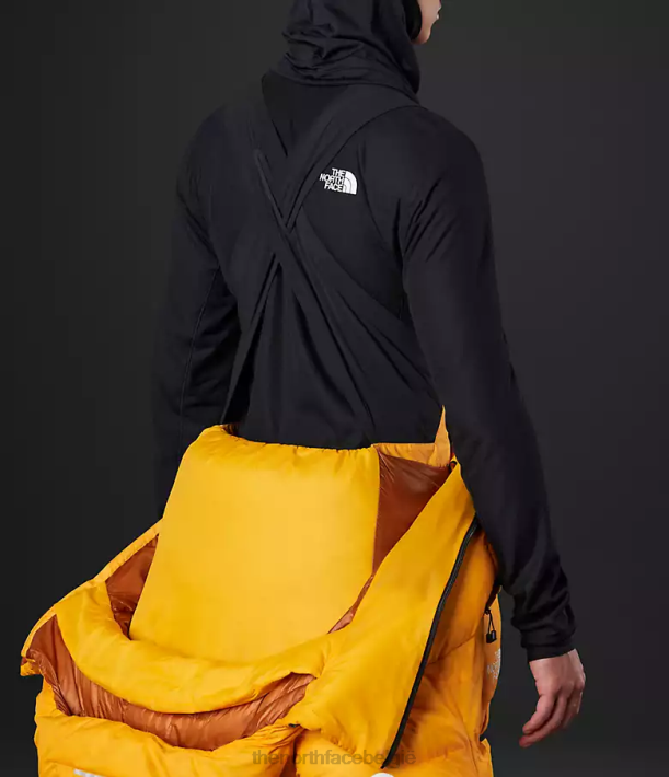 kleding 280T869 top goud Himalaya pak Heren The North Face