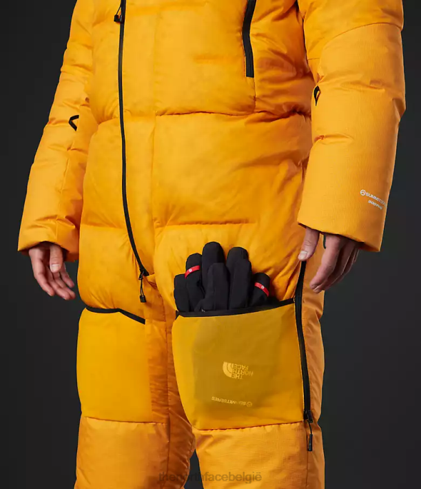 kleding 280T869 top goud Himalaya pak Heren The North Face