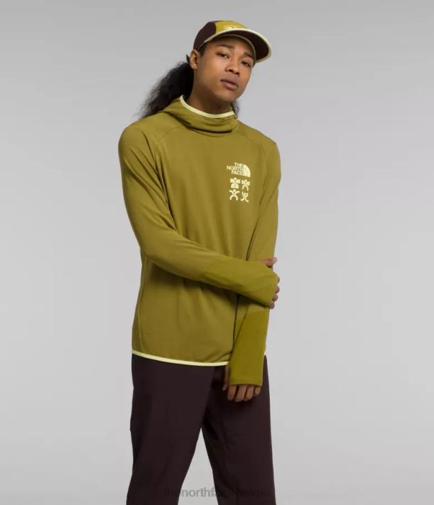 kleding 280T550 zwavel mos trailwear cerro alto-hoodie Heren The North Face