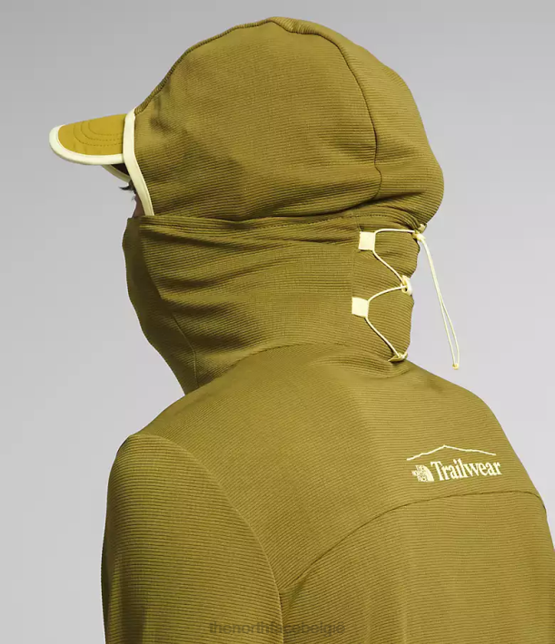 kleding 280T550 zwavel mos trailwear cerro alto-hoodie Heren The North Face