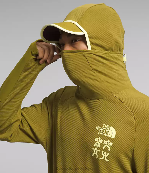 kleding 280T550 zwavel mos trailwear cerro alto-hoodie Heren The North Face