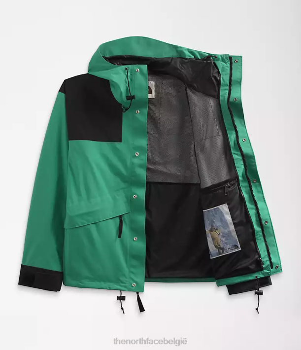 kleding 280T1295 diep grasgroen 86 retro bergjas Heren The North Face