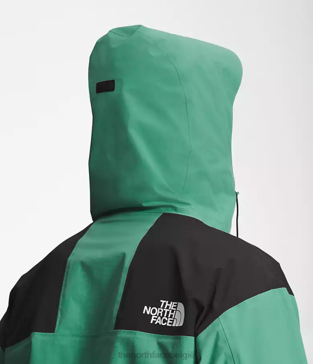 kleding 280T1295 diep grasgroen 86 retro bergjas Heren The North Face