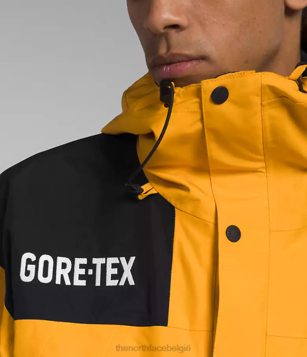 kleding 280T544 top goud/tnf zwart gtx bergjas Heren The North Face