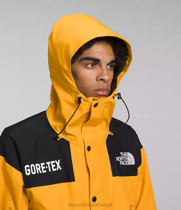 kleding 280T544 top goud/tnf zwart gtx bergjas Heren The North Face