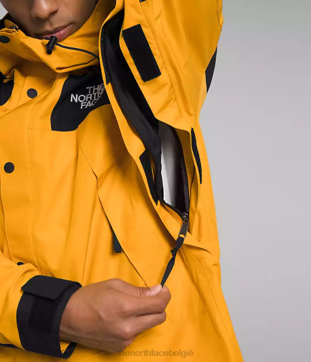 kleding 280T544 top goud/tnf zwart gtx bergjas Heren The North Face