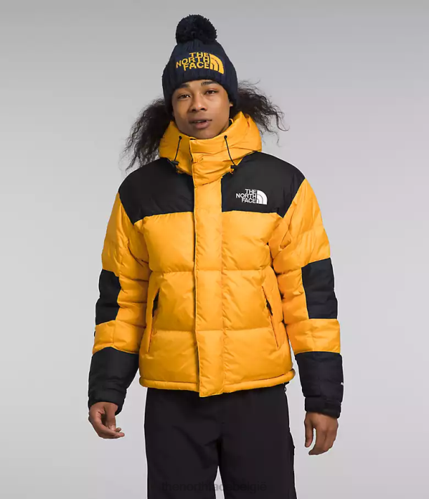 kleding 280T1004 top goud/tnf zwart Hmlyn Baltoro jas Heren The North Face