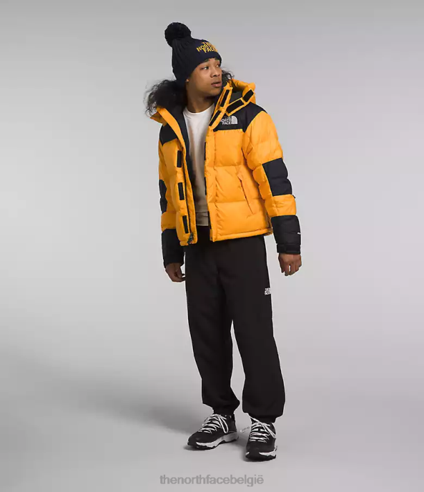 kleding 280T1004 top goud/tnf zwart Hmlyn Baltoro jas Heren The North Face