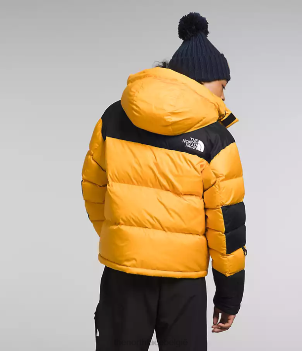 kleding 280T1004 top goud/tnf zwart Hmlyn Baltoro jas Heren The North Face