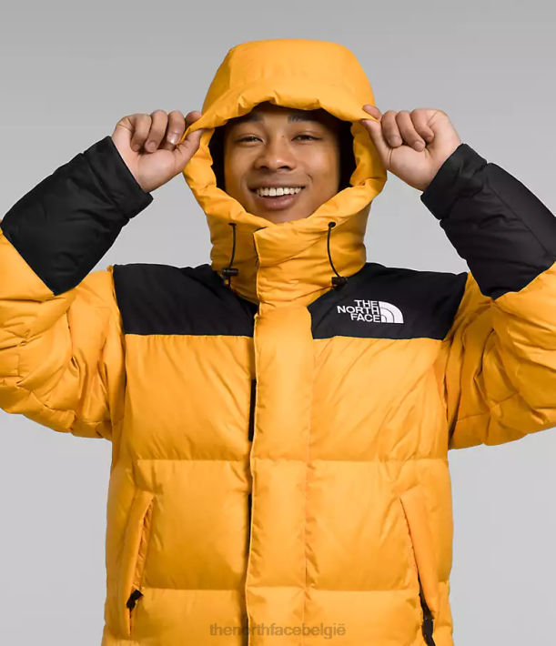 kleding 280T1004 top goud/tnf zwart Hmlyn Baltoro jas Heren The North Face