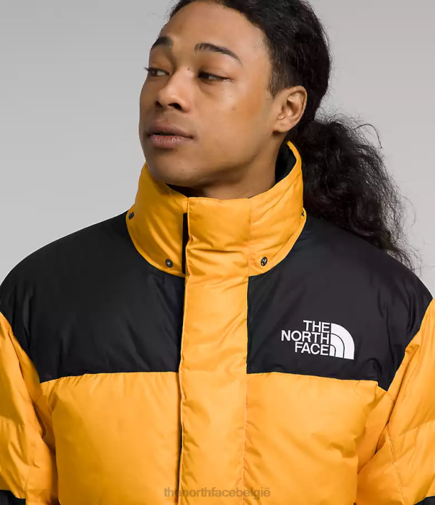 kleding 280T1004 top goud/tnf zwart Hmlyn Baltoro jas Heren The North Face