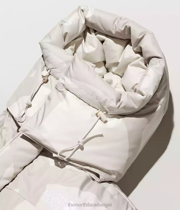kleding 280T143 kw maanlicht ivoor hym print Tnf x Kaws retro Himalaya parka uit 1994 Heren The North Face