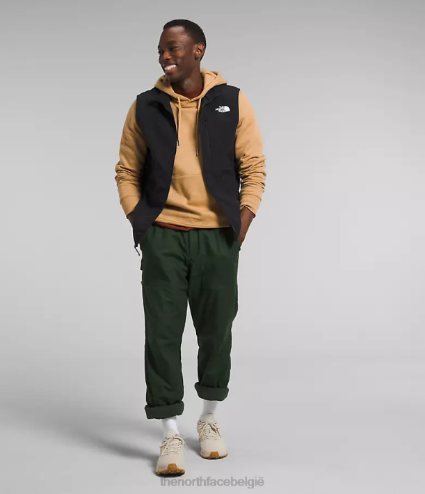 kleding 280T1067 tn zwart Apex bionic 3-vest Heren The North Face