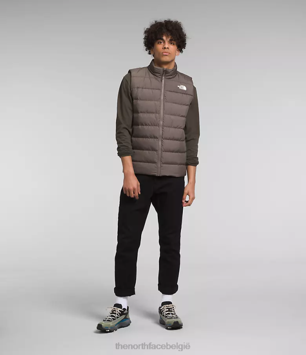 kleding 280T992 valk bruin aconcagua 3-vest Heren The North Face