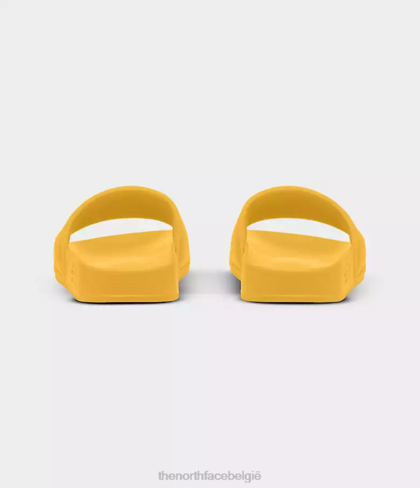 schoenen 280T32 top goud/tnf zwart basiskampglijbanen iii Heren The North Face