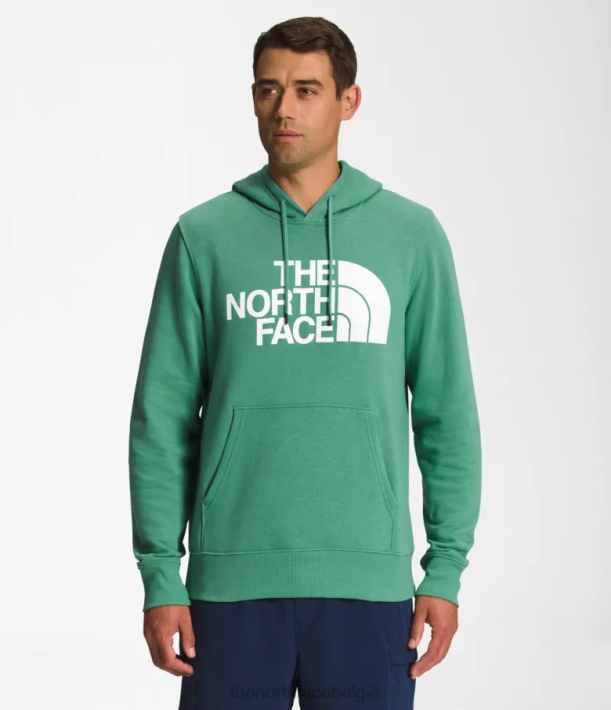 kleding 280T109 diep grasgroen/tnf wit Pullover-hoodie met halve koepel Heren The North Face