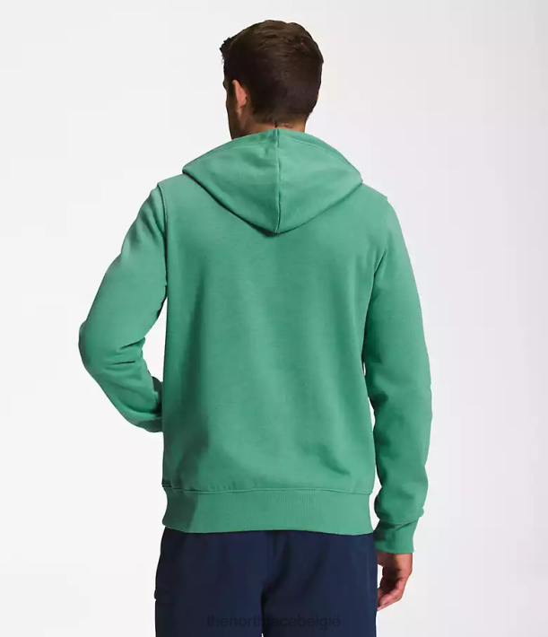 kleding 280T109 diep grasgroen/tnf wit Pullover-hoodie met halve koepel Heren The North Face