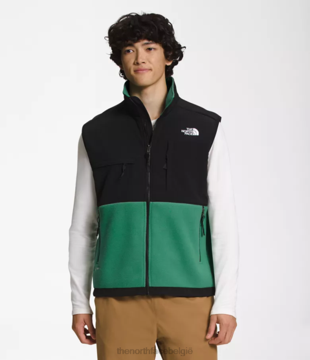 kleding 280T601 diep grasgroen denali-vest Heren The North Face