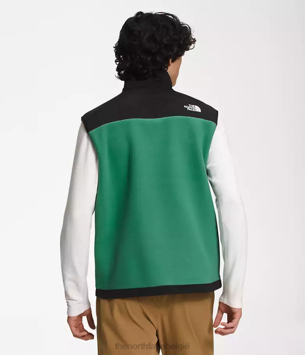 kleding 280T601 diep grasgroen denali-vest Heren The North Face