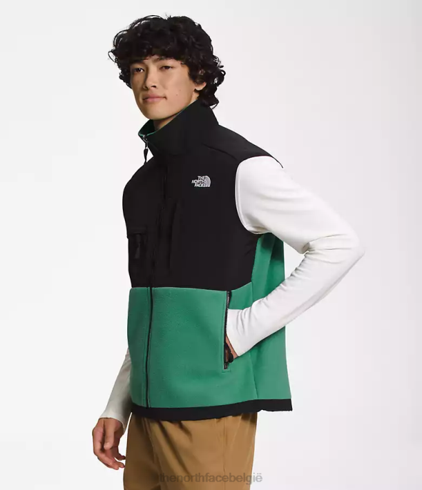 kleding 280T601 diep grasgroen denali-vest Heren The North Face
