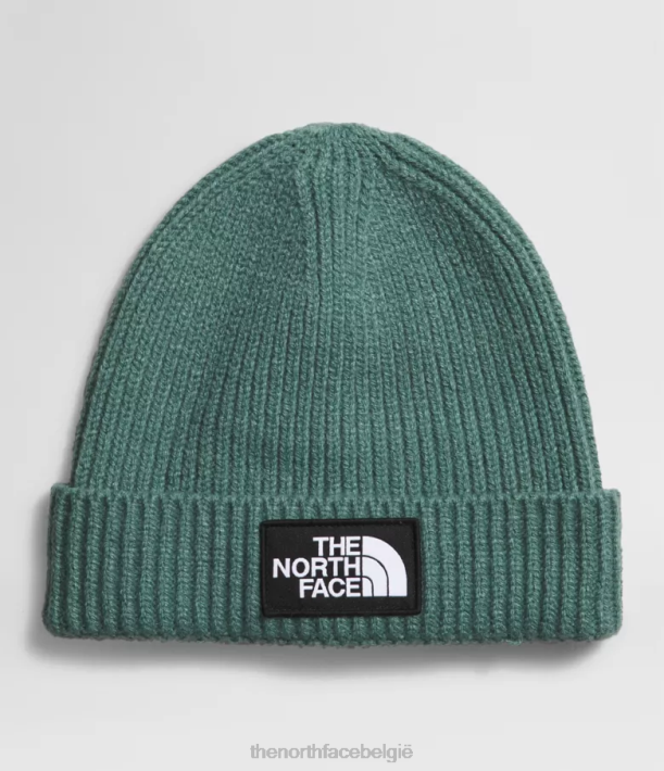 accessoire 280T763 donkere salie Muts met tnf box-logo en manchetten kinderen The North Face