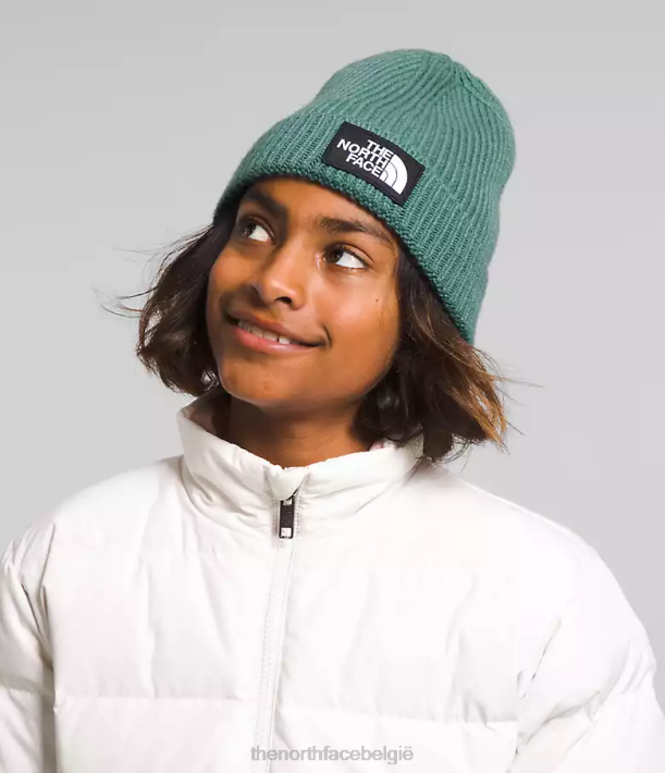 accessoire 280T763 donkere salie Muts met tnf box-logo en manchetten kinderen The North Face