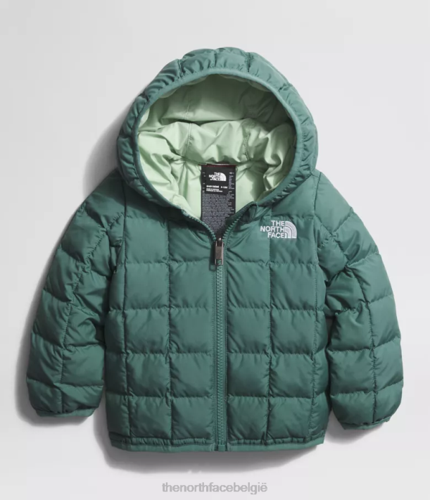 kleding 280T636 donkere salie omkeerbaar thermoballjack met capuchon Baby The North Face