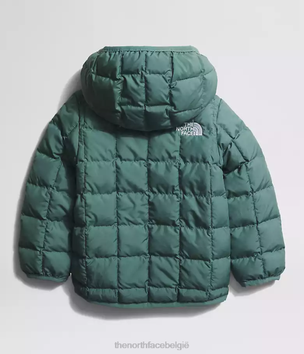 kleding 280T636 donkere salie omkeerbaar thermoballjack met capuchon Baby The North Face