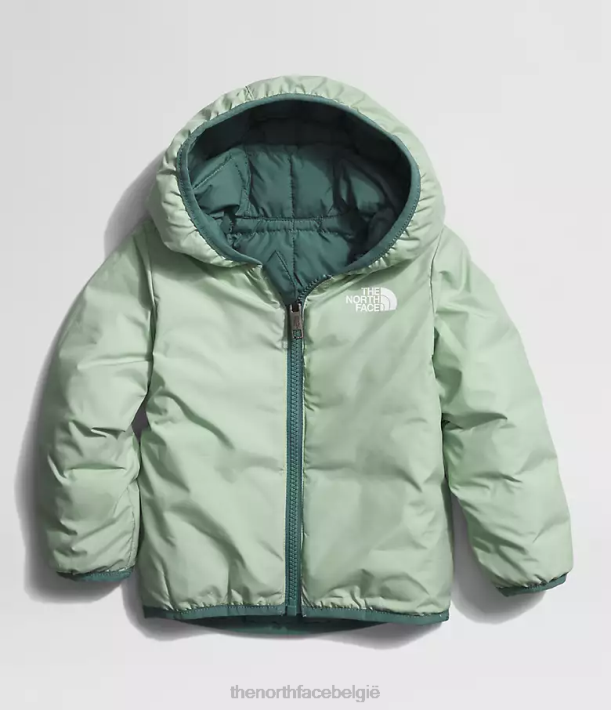 kleding 280T636 donkere salie omkeerbaar thermoballjack met capuchon Baby The North Face