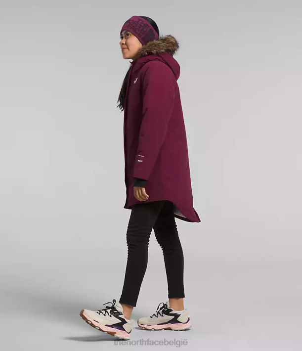 kleding 280T178 jongensbes arctische parka kinderen The North Face
